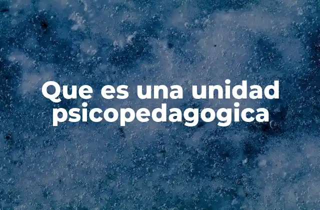 Que es una Unidad Psicopedagogica