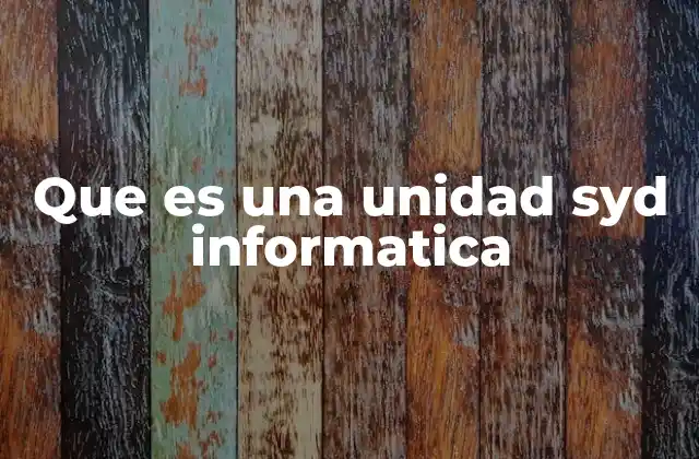 Que es una Unidad Syd Informatica 2 Componentes y funciones de una unidad SYD