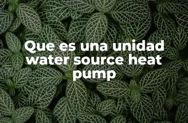 Que es una Unidad Water Source Heat Pump