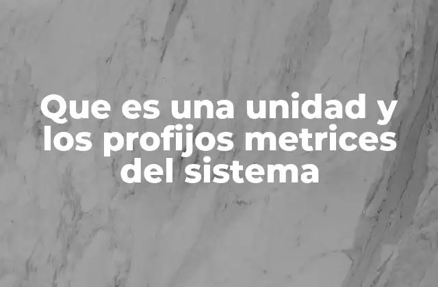 Que es una Unidad y los Profijos Metrices Del Sistema