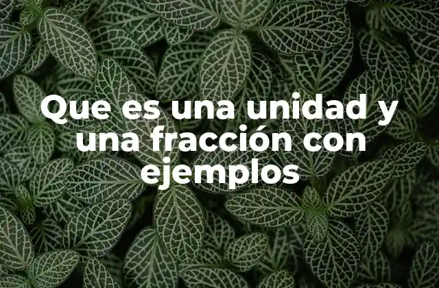 Que es una Unidad y una Fracción con Ejemplos