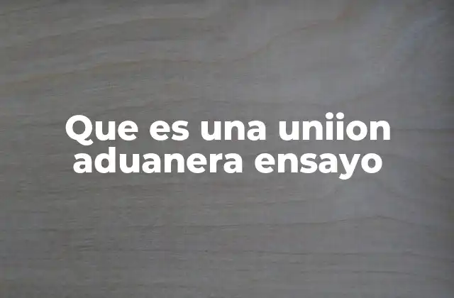 Que es una Uniion Aduanera Ensayo