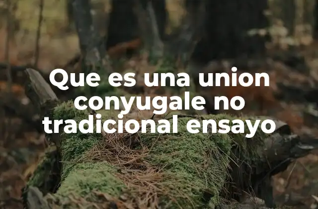 Que es una Union Conyugale No Tradicional Ensayo