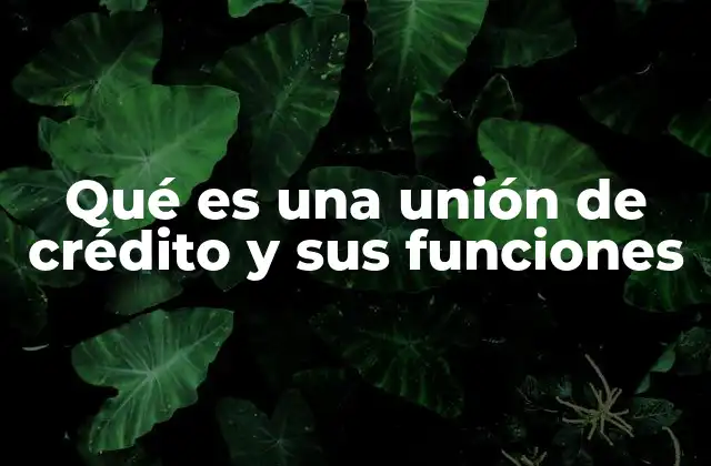 Qué es una Unión de Crédito y Sus Funciones