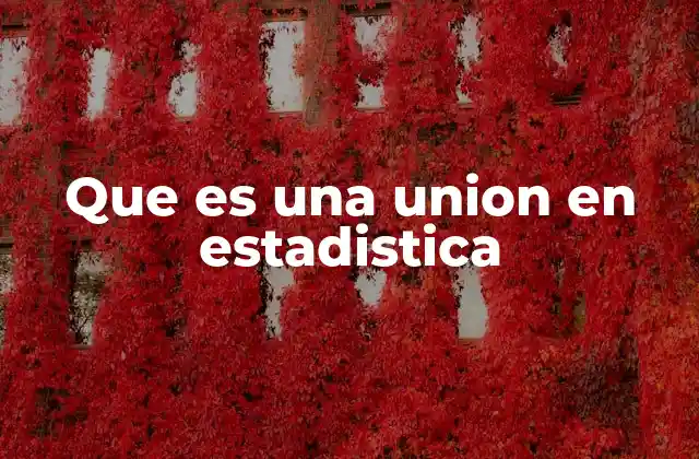 Que es una Union en Estadistica