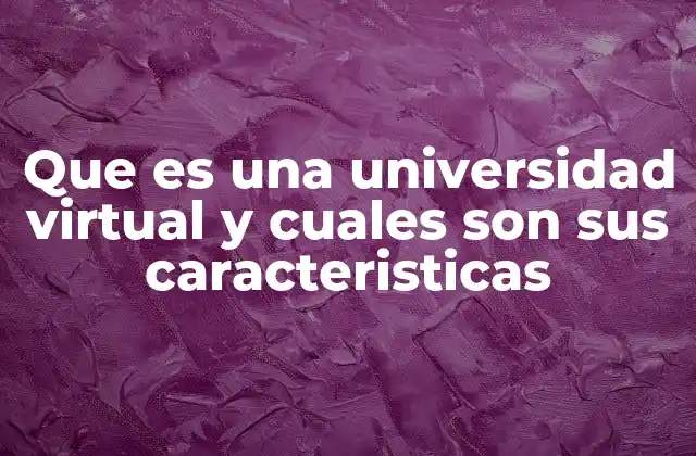 Que es una Universidad Virtual y Cuales Son Sus Caracteristicas