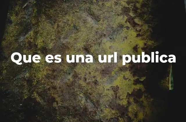 Que es una Url Publica