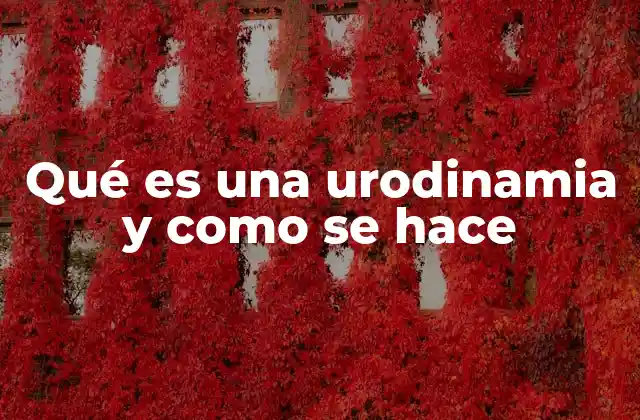Qué es una Urodinamia y como Se Hace