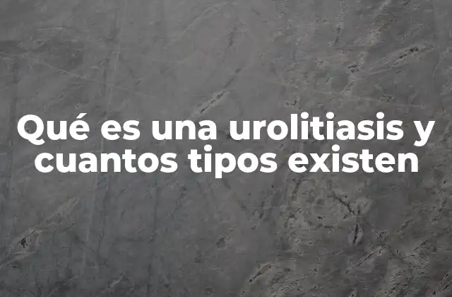 Qué es una Urolitiasis y Cuantos Tipos Existen