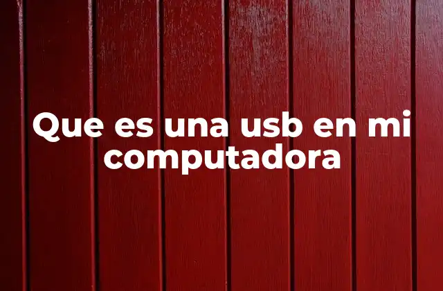 Que es una Usb en Mi Computadora