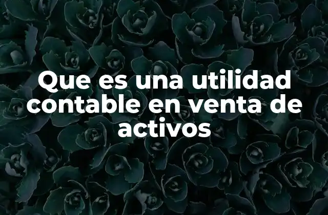 Que es una Utilidad Contable en Venta de Activos