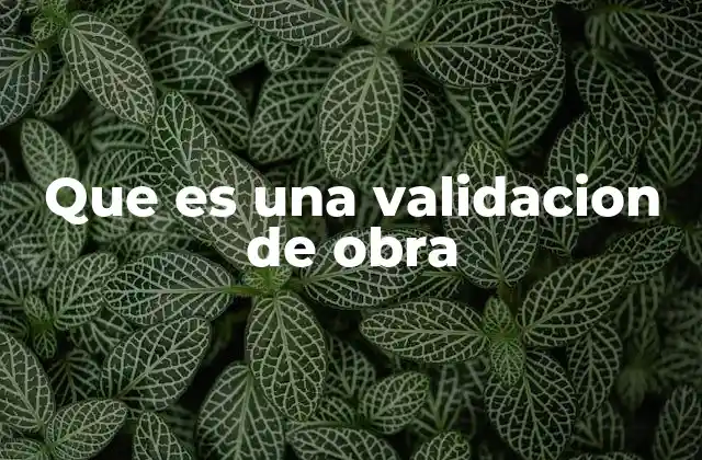 Que es una Validacion de Obra