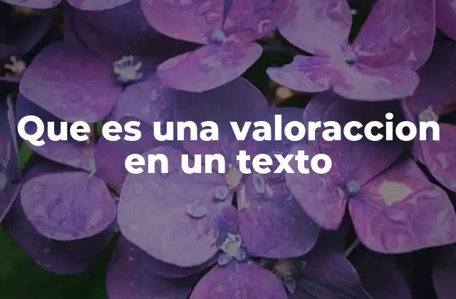 Que es una Valoraccion en un Texto