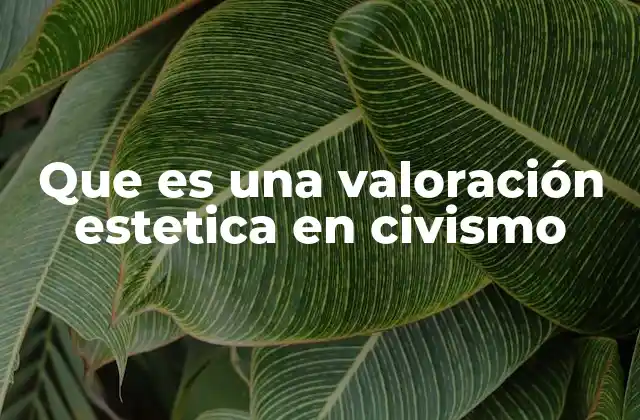 Que es una Valoración Estetica en Civismo