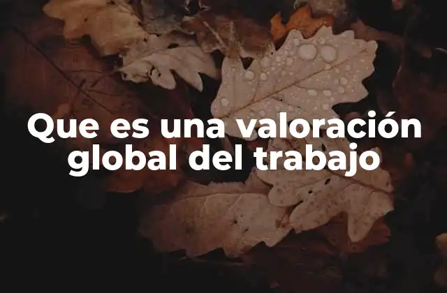Que es una Valoración Global Del Trabajo