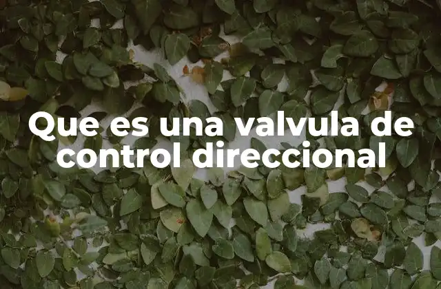 Componentes y funcionamiento de las válvulas de control direccional