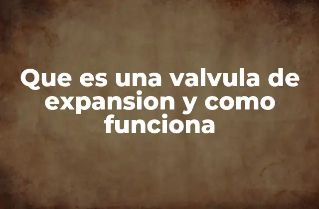 Que es una Valvula de Expansion y como Funciona