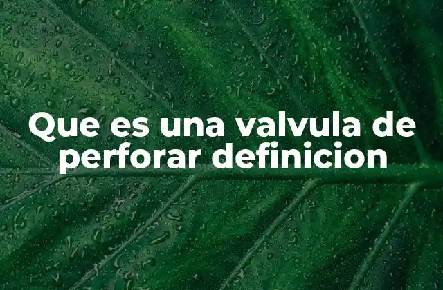 Que es una Valvula de Perforar Definicion 2 Componentes y funcionamiento de una válvula de perforar