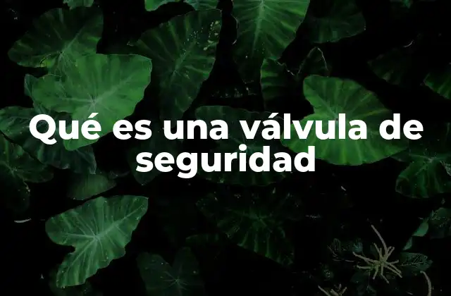 Qué es una Válvula de Seguridad