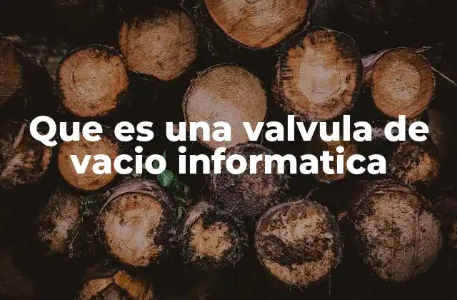Que es una Valvula de Vacio Informatica