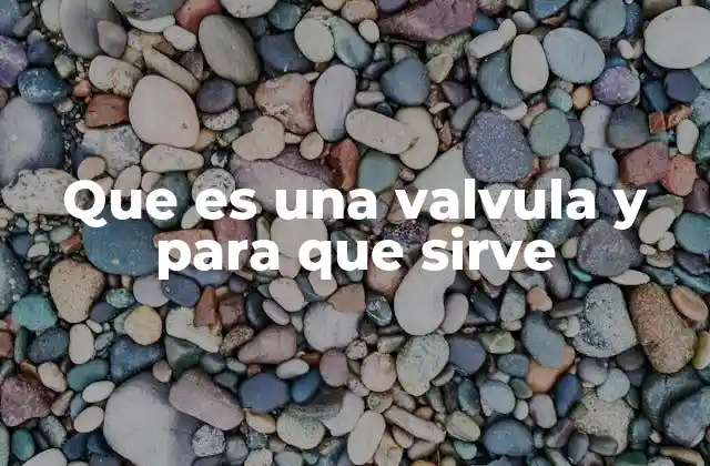 Que es una Valvula y para que Sirve