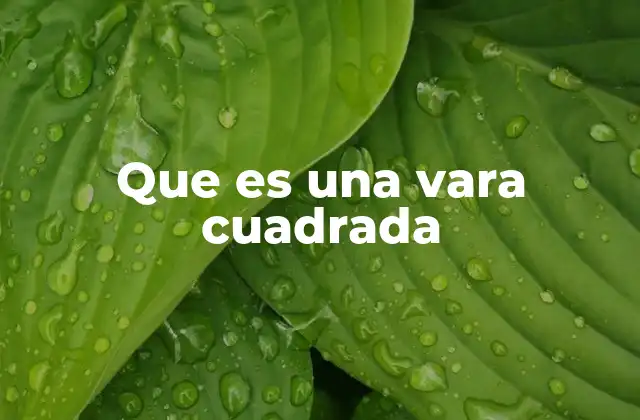 Que es una Vara Cuadrada