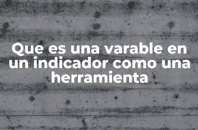 Que es una Varable en un Indicador como una Herramienta
