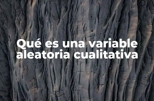 Qué es una Variable Aleatoria Cualitativa 2 La importancia de las variables en el análisis de datos