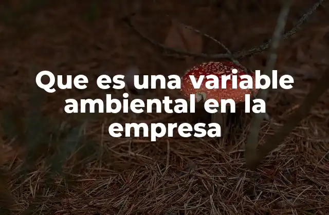 Que es una Variable Ambiental en la Empresa