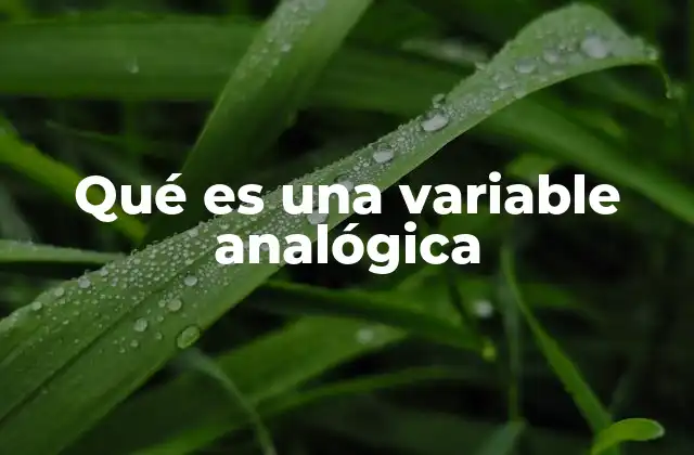 Qué es una Variable Analógica