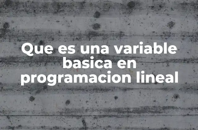 Que es una Variable Basica en Programacion Lineal