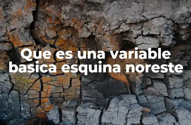 Que es una Variable Basica Esquina Noreste