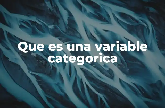Que es una Variable Categorica