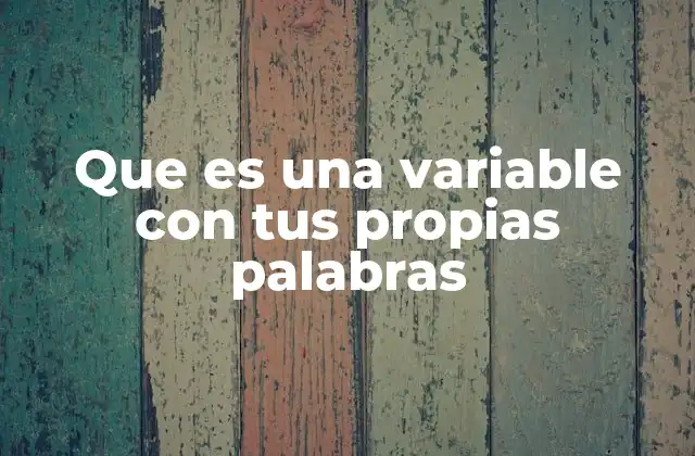 Que es una Variable con Tus Propias Palabras