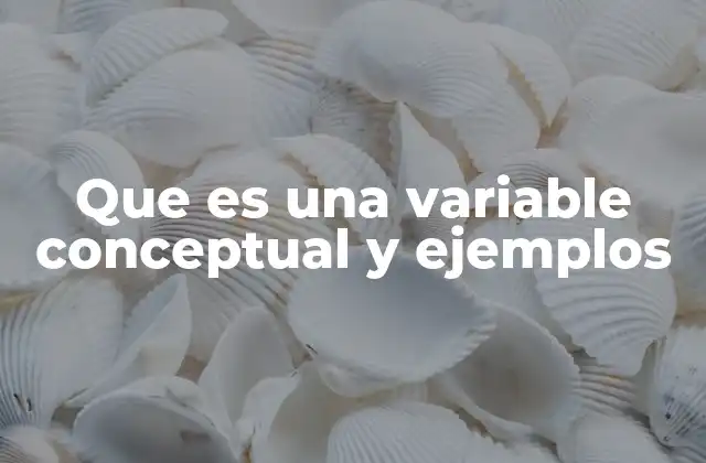 Que es una Variable Conceptual y Ejemplos