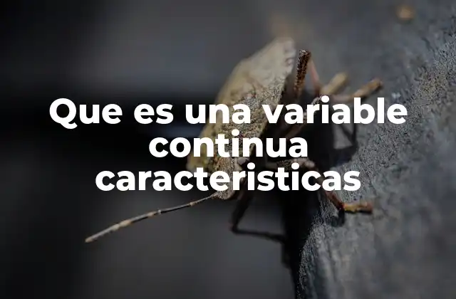 Que es una Variable Continua Caracteristicas