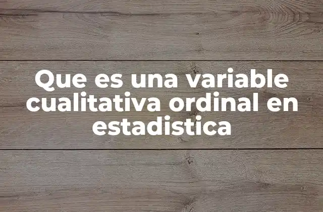El orden como herramienta en el análisis de datos cualitativos