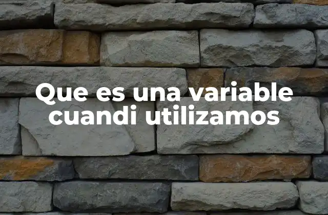 Que es una Variable Cuandi Utilizamos