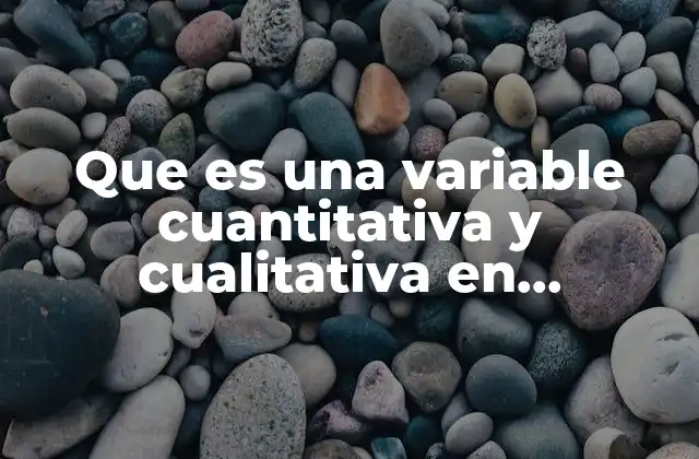 Que es una Variable Cuantitativa y Cualitativa en Estadistica