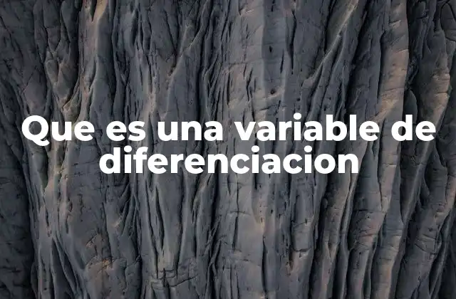 Que es una Variable de Diferenciacion 2 Factores que influyen en la diferenciación de productos