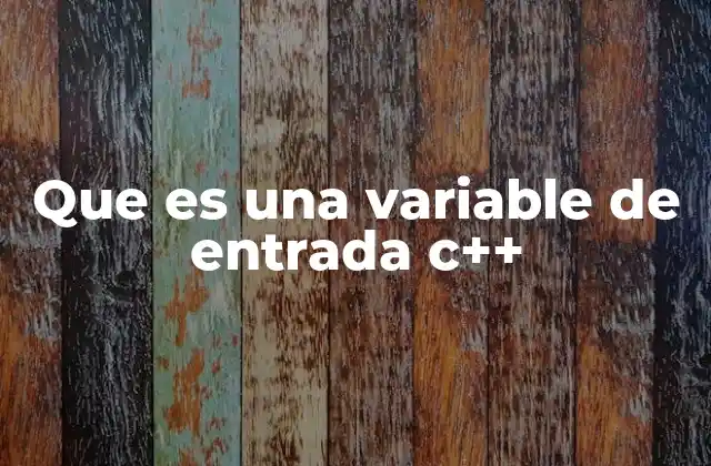 Que es una Variable de Entrada C++