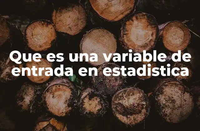 Que es una Variable de Entrada en Estadistica