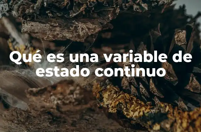 Qué es una Variable de Estado Continuo