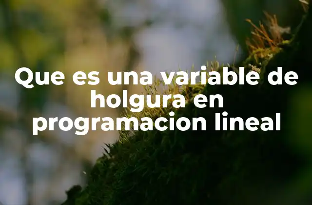 Que es una Variable de Holgura en Programacion Lineal