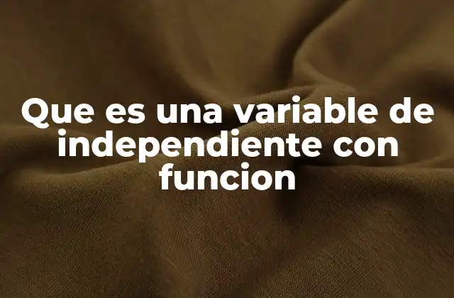 Que es una Variable de Independiente con Funcion
