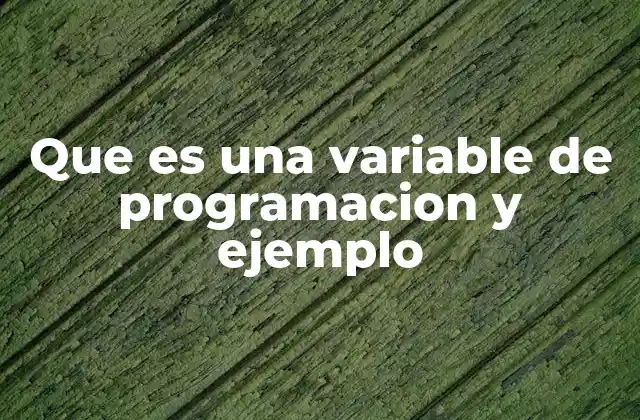 Que es una Variable de Programacion y Ejemplo