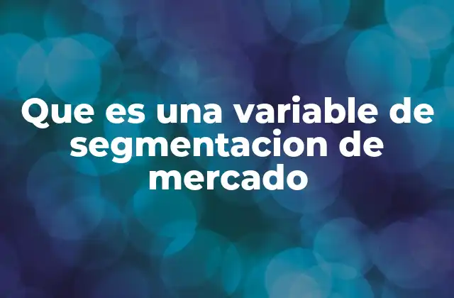 Que es una Variable de Segmentacion de Mercado