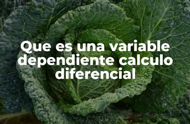 Que es una Variable Dependiente Calculo Diferencial