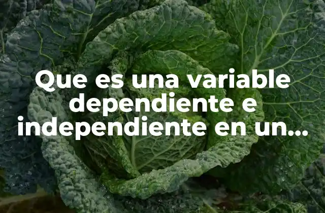 Que es una Variable Dependiente e Independiente en un Proyecto