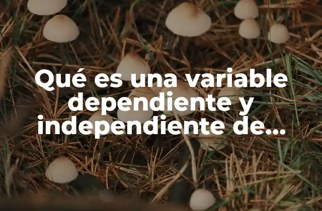 Qué es una Variable Dependiente y Independiente de Cálculo